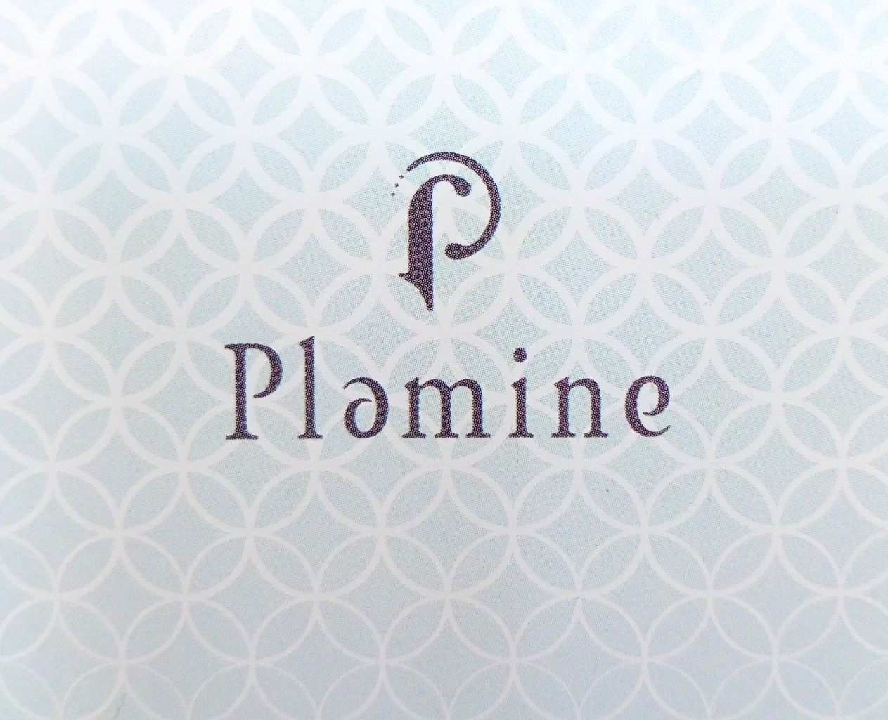 Plamine