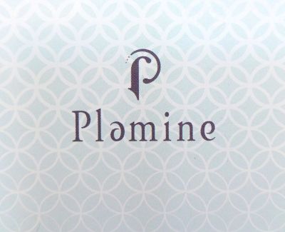 Plamine