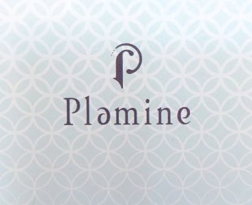 Plamine