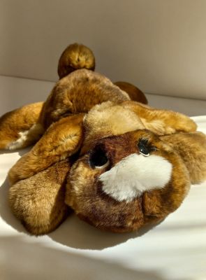Мягкая игрушка Собачка Вилли из натурального меха кролика рекс 